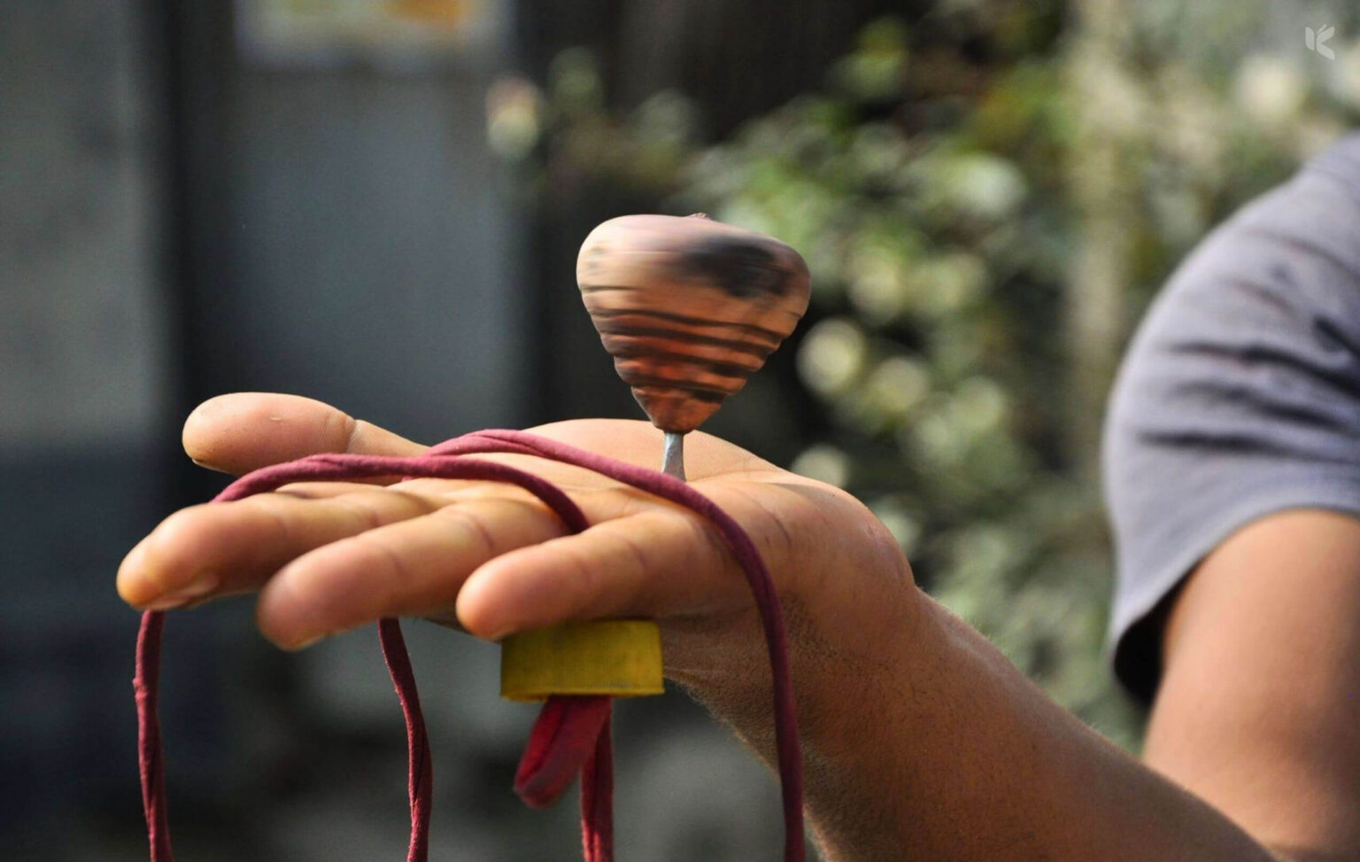 লাটিম - কুহুডাক শেকড়